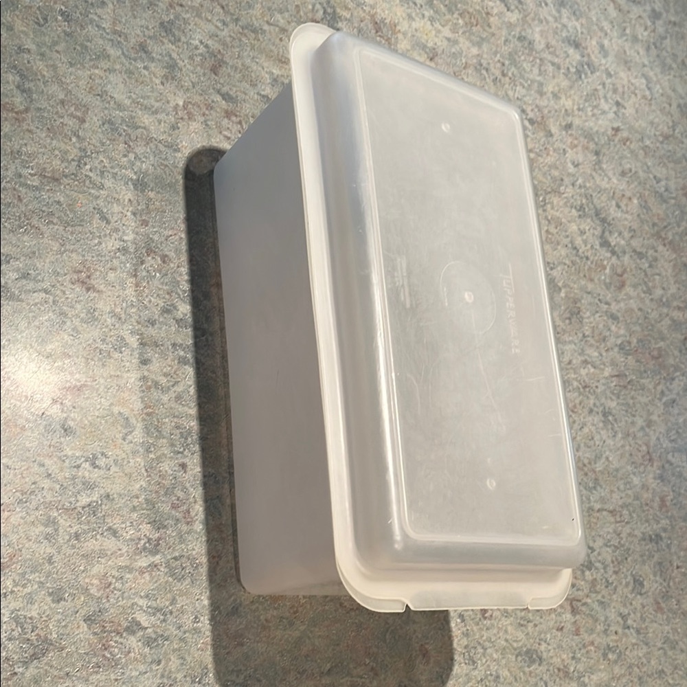 Tupperware White Storage Container with Secure Lid